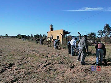 Foto de archivo: ao 2002 forestacion del predio del club de  Rugby 