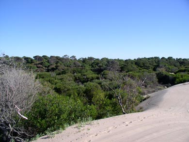 La zona entre Gesell y Mar de las Pampas con mucha potencialidad