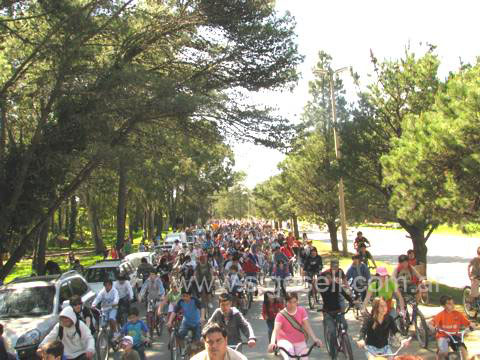 Este domingo desde las 11 y desde la Plaza Primera Junta, todos a pedalear 