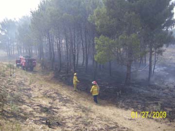 Los incendios de pastizales tienen en jaque a los bomberos