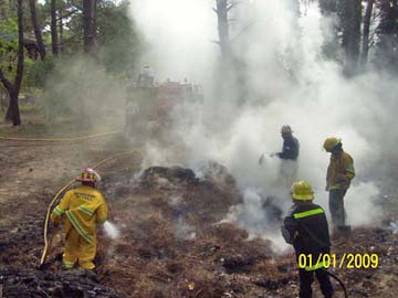 Bomberos trabajando en un incendio de pinocha (foto de archivo)