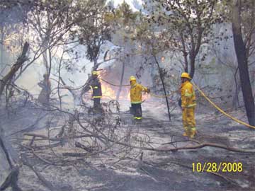 Bomberos en accion en pleno bosque (foto Bomberos Voluntarios)    