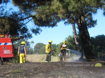 Otra vez pastizales incendiados (foto de archivo)