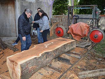 Vecinos emprendedores: juntan troncos para elaborar muebles