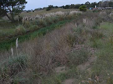 Estado actual del desague de Monte Rincon, paralelo al paseo 112