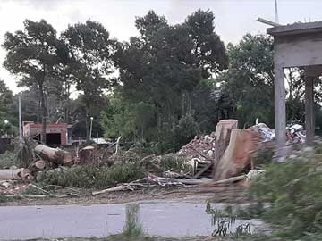 Los arboles derribados no afectan la obra, formaban parte del frente del edificio