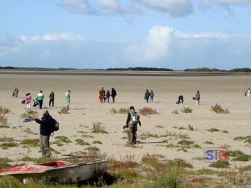 Ms de cien voluntarios limpiaron las trecientas hectarias de Los Horcones