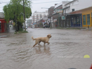 Mucha lluvia en Gesell (archivo)