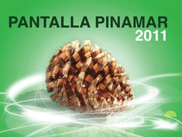 Todo listo para Pantalla Pinamar 2011