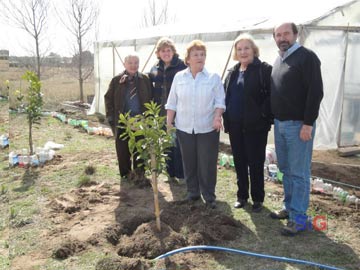 Salas en la plantacin de limones