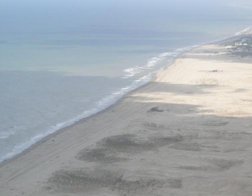 Medanos de la zona norte